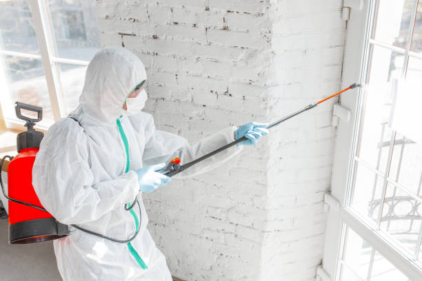 Best Mold Prevention Services in Dock Junction, GA