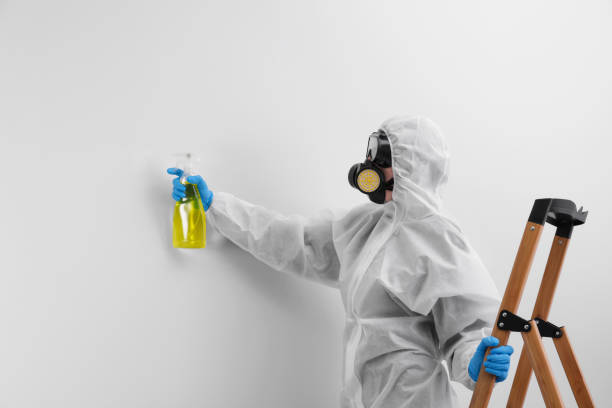 Dock Junction, GA Mold Removal Company